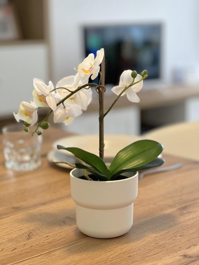 Casahost Bastian Boutique II Seaview Leilighet Costa Teguise Eksteriør bilde